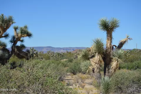 2279 E Margaret Dr, Yucca, AZ 86438 photo 33