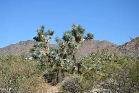 2279 E Margaret Dr, Yucca, AZ 86438 photo 46