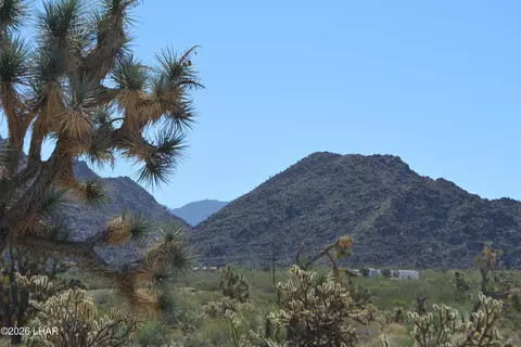 2279 E Margaret Dr, Yucca, AZ 86438 photo 72