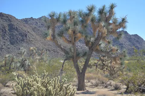 2279 E Margaret Dr, Yucca, AZ 86438 photo 8
