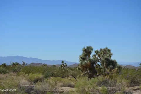 2279 E Margaret Dr, Yucca, AZ 86438 photo 41