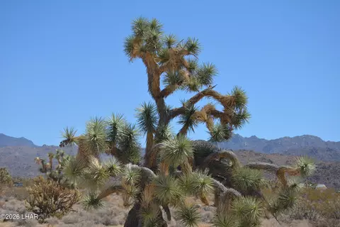 11872 S Date Creek Rd, Yucca, AZ 86438
