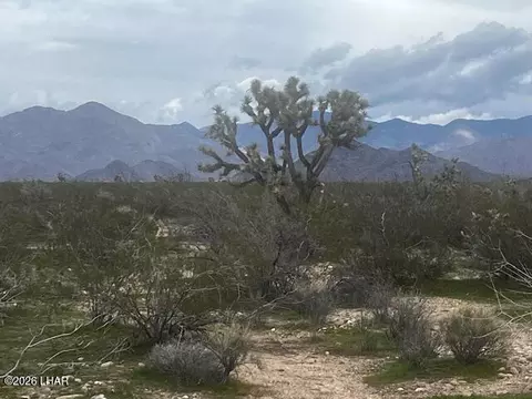 3639 W Yellow Bird Dr, Yucca, AZ 86438