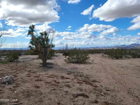 3630 W Yellow Bird Dr, Yucca, AZ 86438
