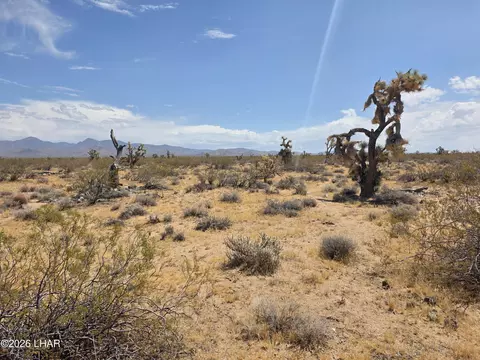 Parcel2328 S Tom Mix Rd, Yucca, AZ 86438