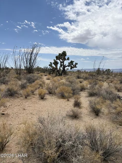 00 Organ Pipe Pl, Yucca, AZ 86438