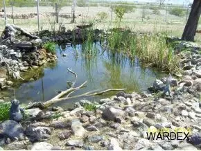 151129 Deer Path Trl, Big River, CA 92242 photo 11