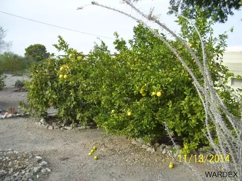 149204 Hausna, Big River, CA 92242 photo 10