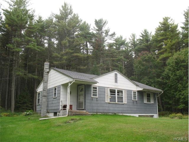 57 Airport Rd, Eldred, NY 12732 photo 1