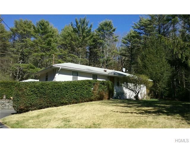 65 Proctor Rd, Eldred, NY 12732 photo 1