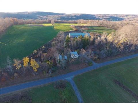 229 Menges Rd, Livingston Manor, NY 12758 photo 1