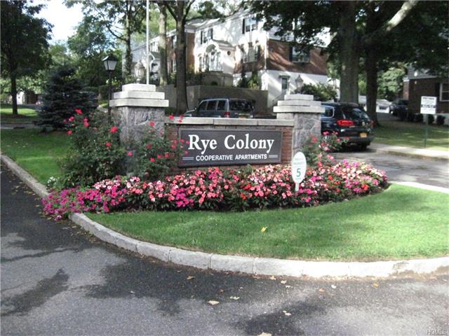 46 Peck Ave #46A, Rye, NY 10580 photo 1