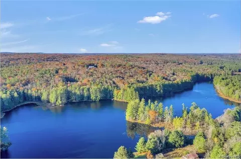 lot92 Mathias Weiden Dr, Tusten, NY 12764