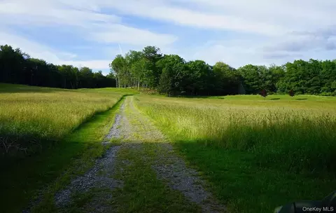 762 Tower Hill Rd, Washington, NY 12545
