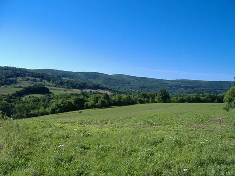 L2.112 Ploss Road, Out Of Area, NY 12149