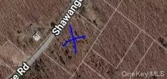 Shawanga Lodge Road, Mamakating, NY 12721