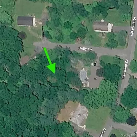Holly Lane, Fallsburg, NY 12779