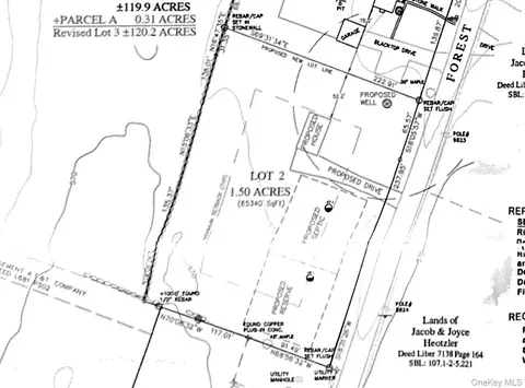 tbd Forest Rd, Plattekill, NY 12589 photo 4