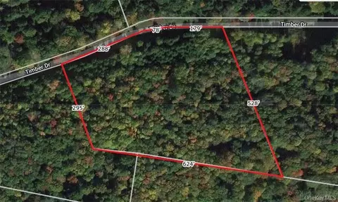 lot5 Timber Dr, Bethel, NY 12720