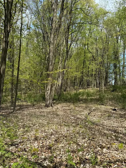 120 Floyd Ackert Rd, Esopus, NY 12429 photo 3