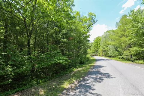 tbd Bristol Hill Rd, Hurley, NY 12443