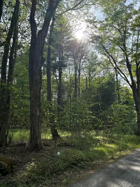 Lucks Road, Wawarsing, NY 12435