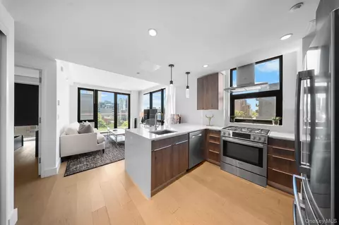 4620 11th St #5D, Long Island City, NY 11101