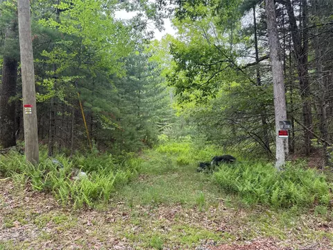Depot Road, Mamakating, NY 12790