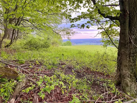 301 305 Hust Road Hust, Callicoon, NY 12748