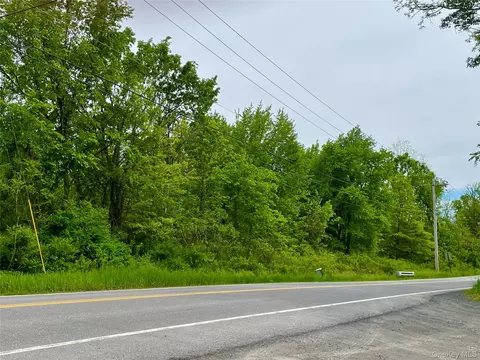 Orchard Drive, Plattekill, NY 12568 photo 2