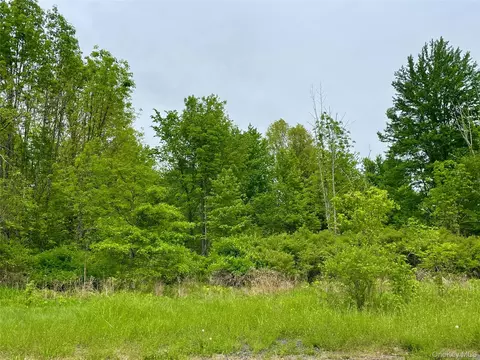 Orchard Drive, Plattekill, NY 12568