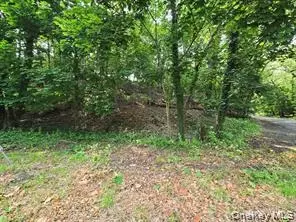 lot Valley Ave, Huntington, NY 11768