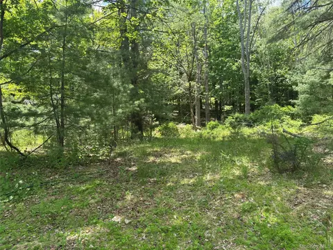 400 Red Hill Rd, Mamakating, NY 12790
