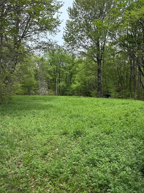 1 Mountain Lake Rd, Andes, NY 13731