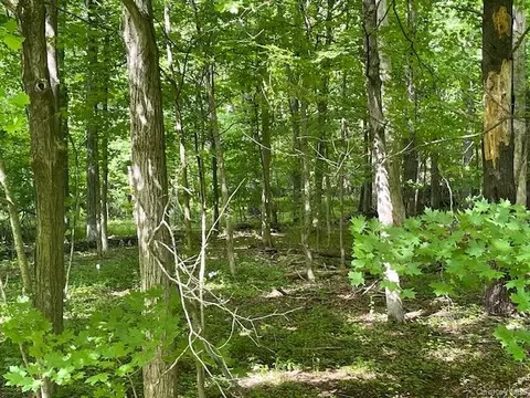 Joel M Austin Road N, Cairo, NY 12413