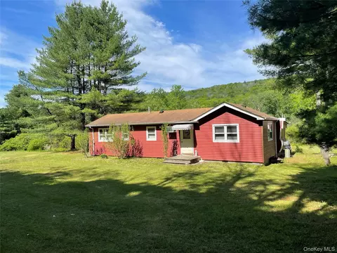 163 Fire House Rd, Mamakating, NY 12781