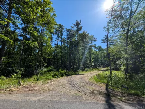 856 Berme Rd, Marbletown, NY 12440