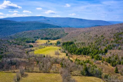 Hogg Mountain, Middletown, NY 12430