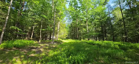 00 Church Aka Pan Am Rd, Fallsburg, NY 12763
