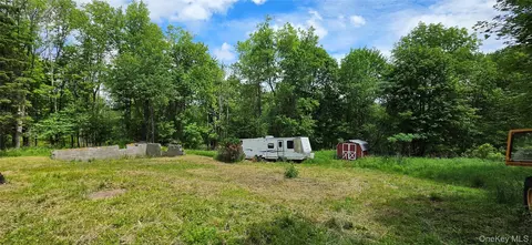 208 Parksville Rd, Liberty, NY 12768