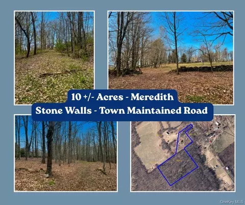 lot4 Shaver Hill Rd, Meredith, NY 13806