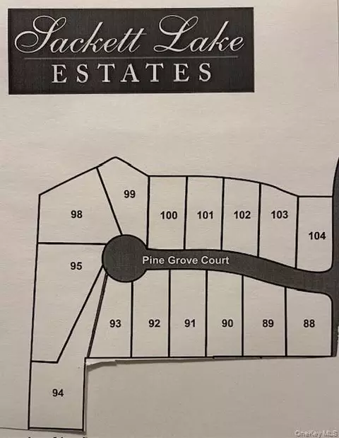 Pine Grove Court, Thompson, NY 12701