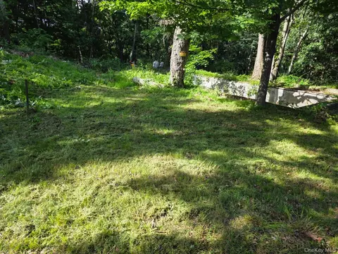 66 Ryan Rd, Pine Plains, NY 12567 photo 7