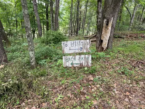 66 Ryan Rd, Pine Plains, NY 12567 photo 5