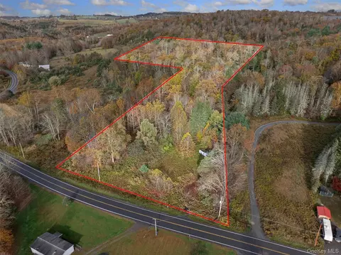 22 State Route 52a, Delaware, NY 12750