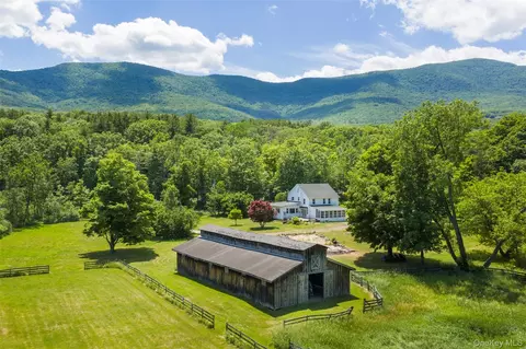 80 Old South Durham Hwy, Acra, NY 12405