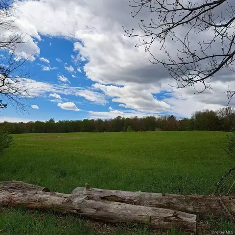 10755 Nys Route 13, Out Of Area, NY 13316