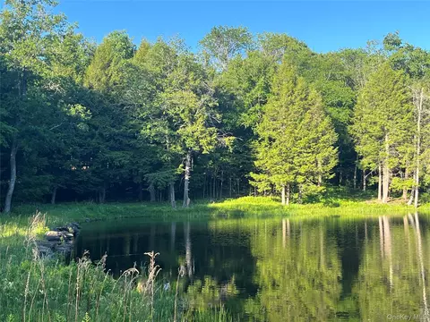 4 Cold Creek Pass, Liberty, NY 12768