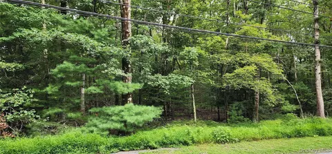 128 Wilson Rd, Deerpark, NY 12780