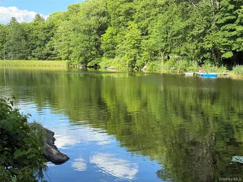 View/Area - 4 Loggers Ct, Kent, NY 10512 photo 1 of 4